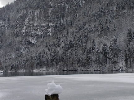 IMG 20170115 133548901